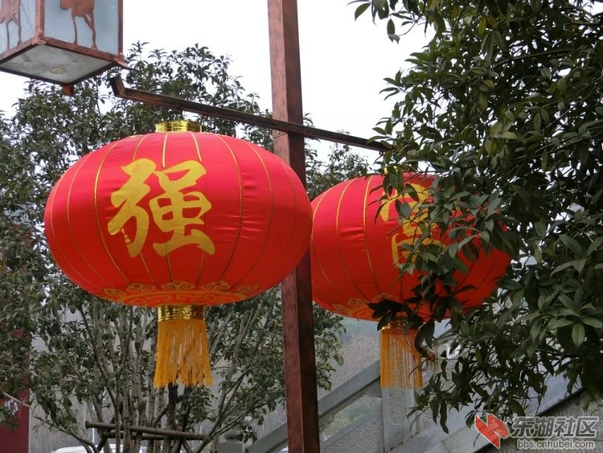 CIMG4608.jpg