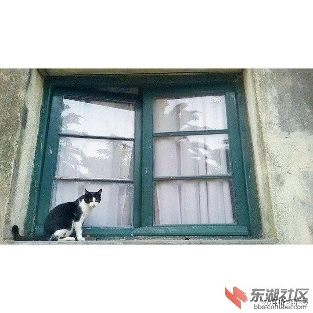 61bb1494ly1fd7d9n1r3ej20hs0hsabp.jpg