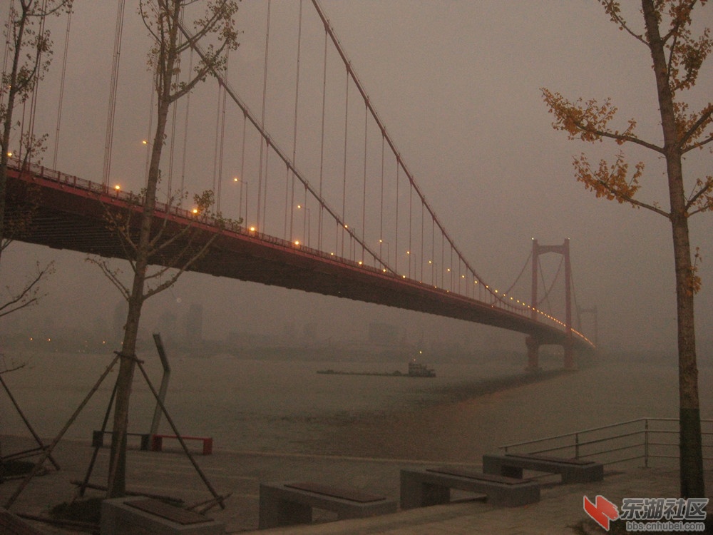 鹦鹉洲大桥1.jpg