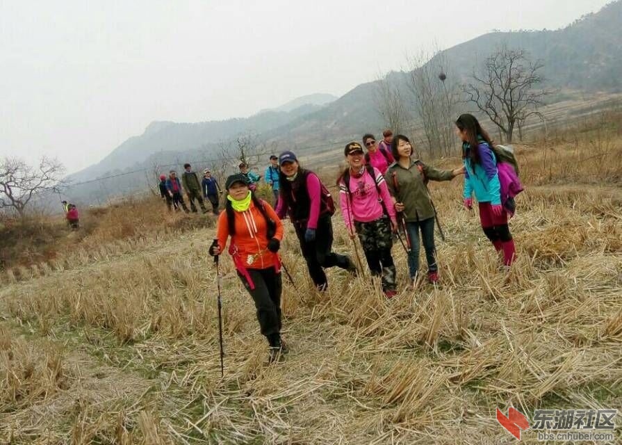 QQ图片20170306222030.jpg