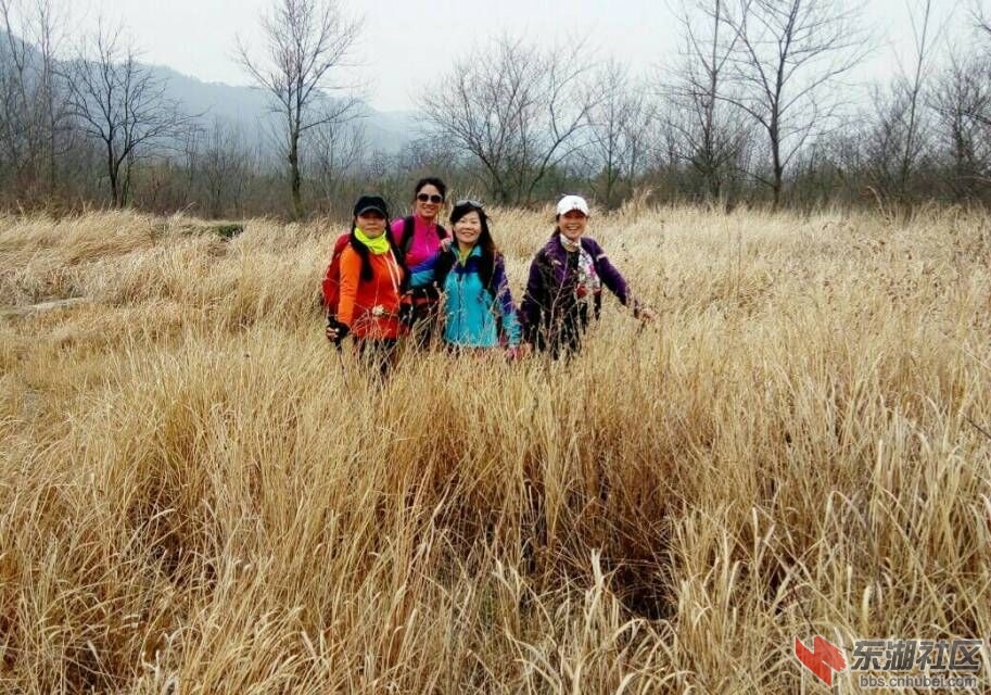 QQ图片20170306222045.jpg