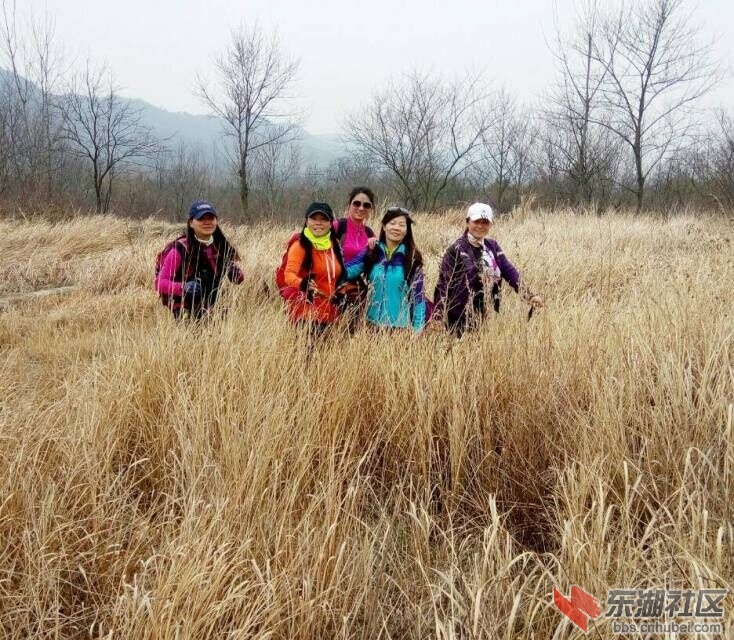 QQ图片20170306222057.jpg