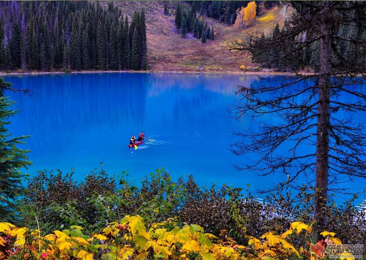 38a翡翠湖Emerald Lake.jpg