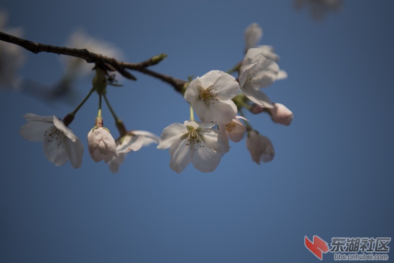 DSC_8340_副本_副本.jpg