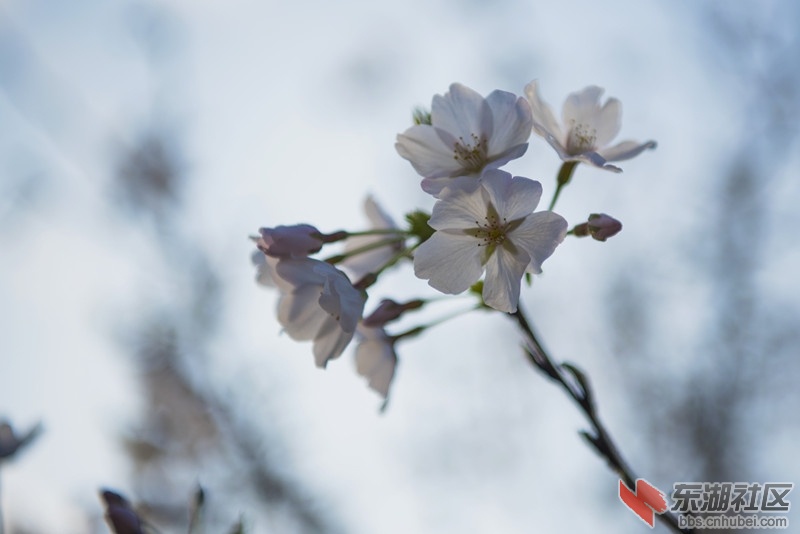 DSC_8386_副本.jpg