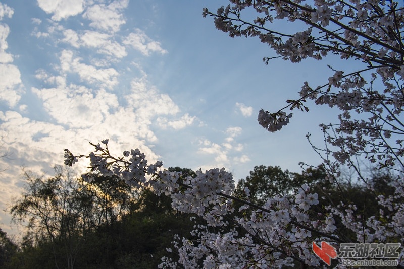 DSC_8387_副本.jpg