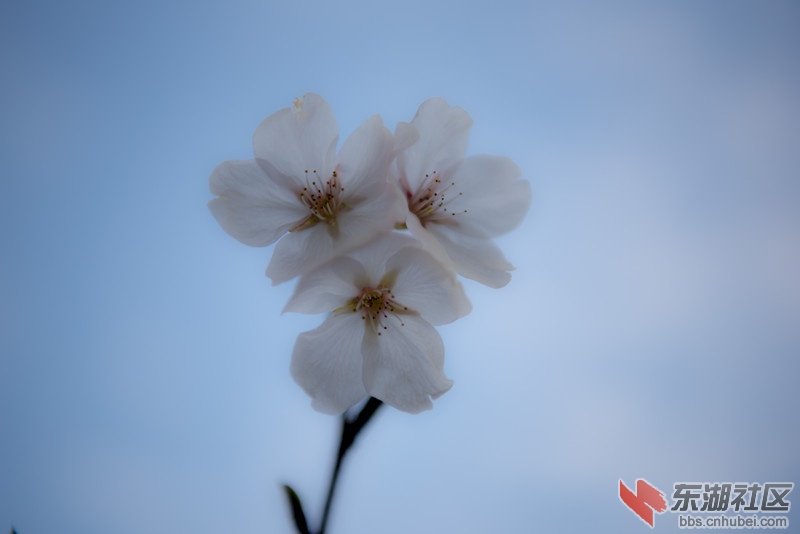 DSC_8456_副本.jpg