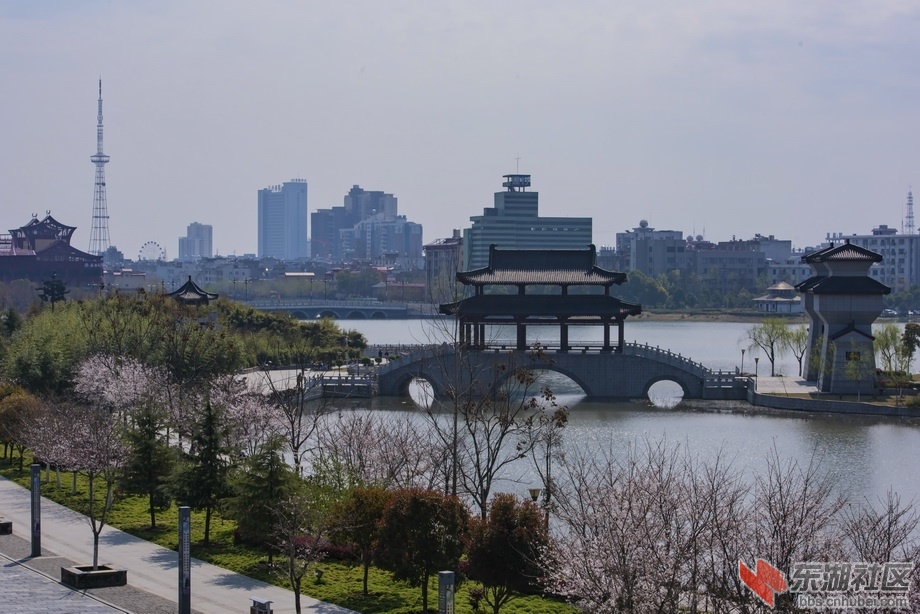 DSC_0995.jpg
