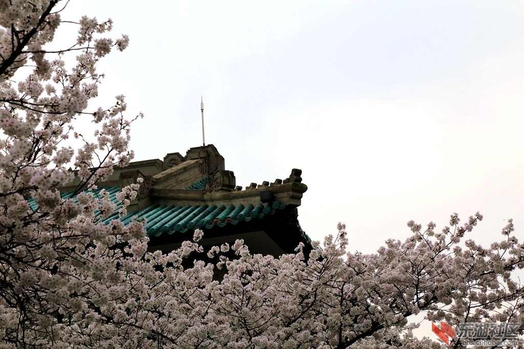 IMG_0876_副本.jpg