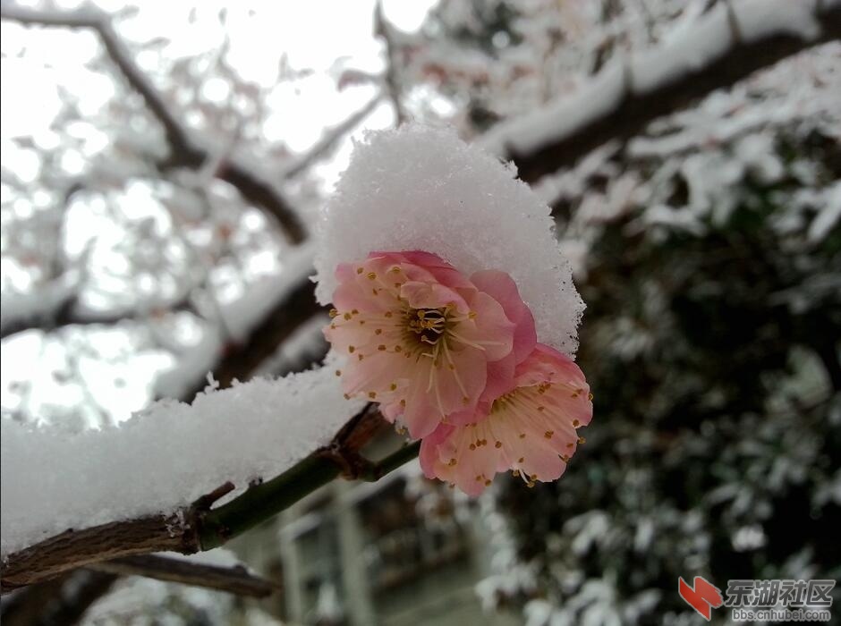 QQ图片20170228234923.jpg