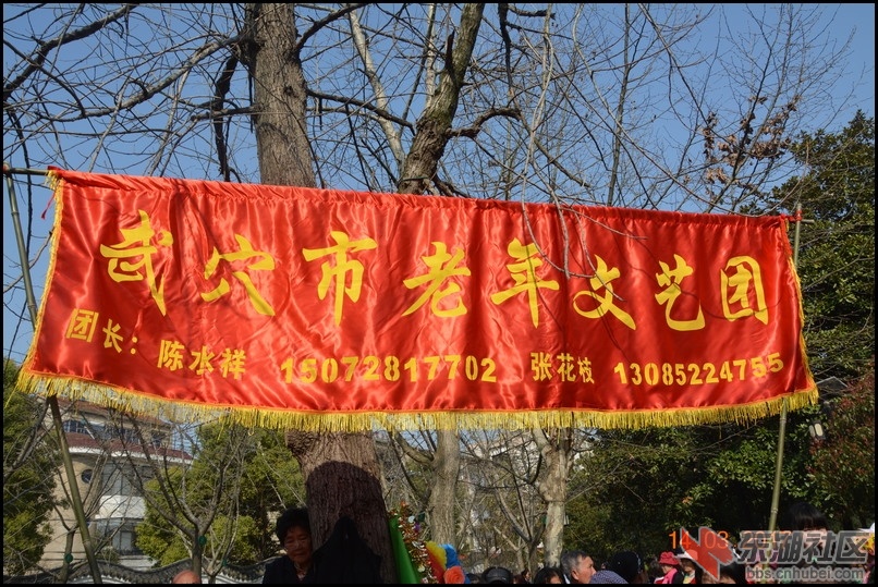 猪八戒、骑毛驴、抬花轿，民俗表演乐翻天