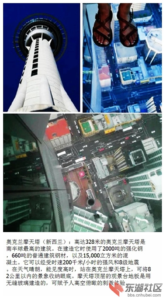 05奥克兰摩天塔.jpg