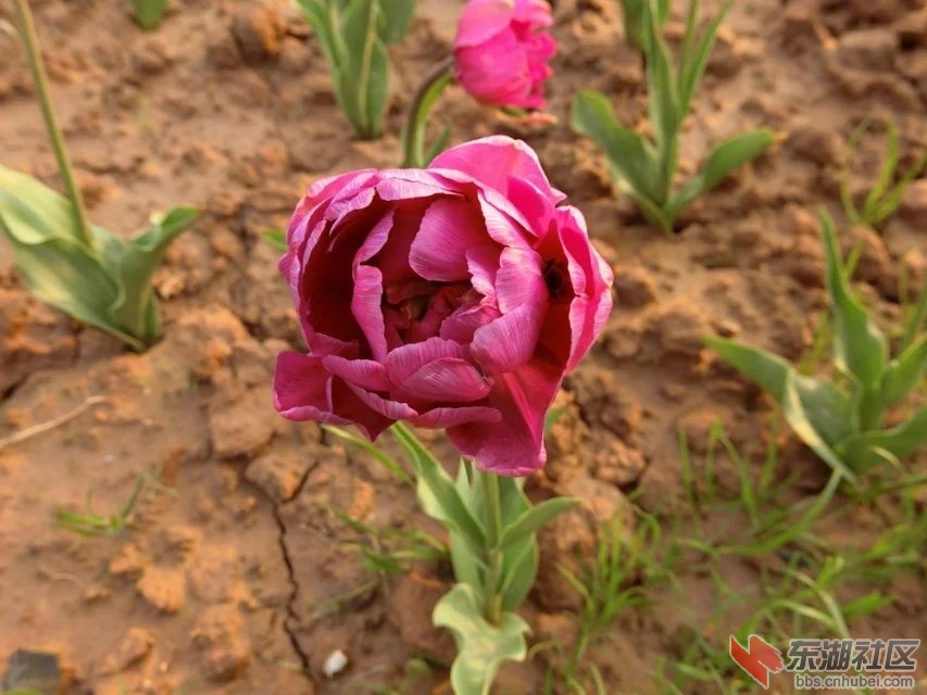 CIMG9924.jpg
