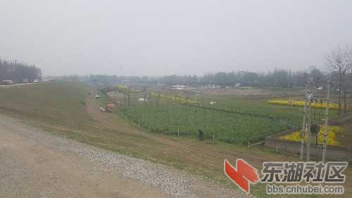 20170318_162033.jpg
