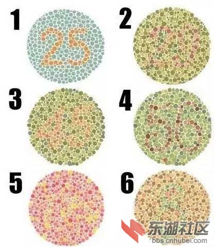 970e54b4fd6b149029e314673d4e0c07.jpg