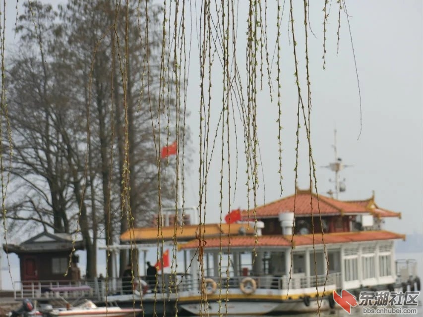 CIMG6849.jpg