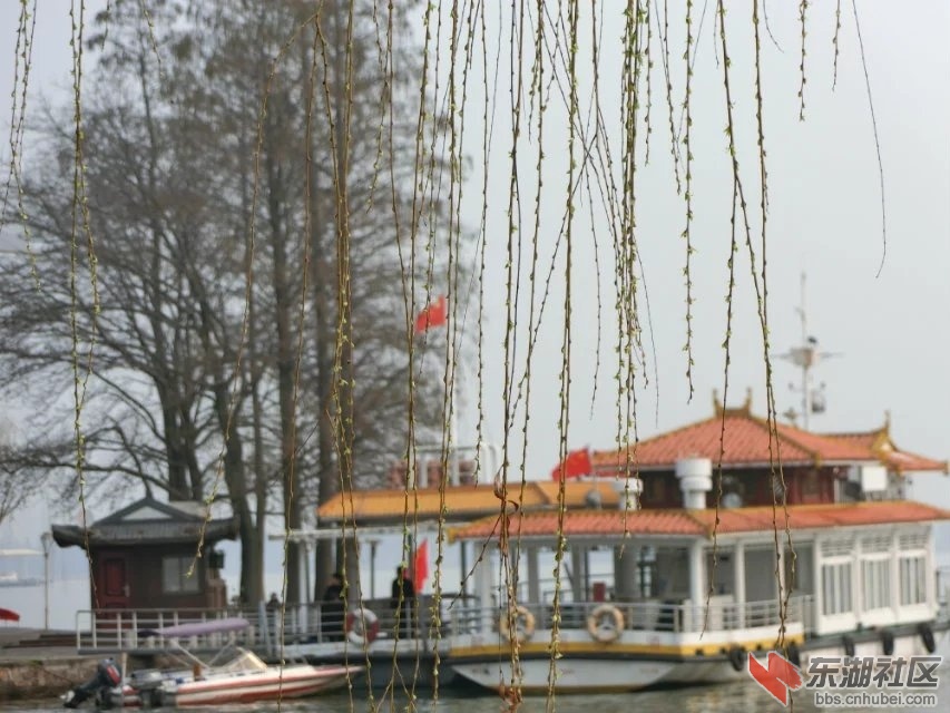 CIMG6850.jpg