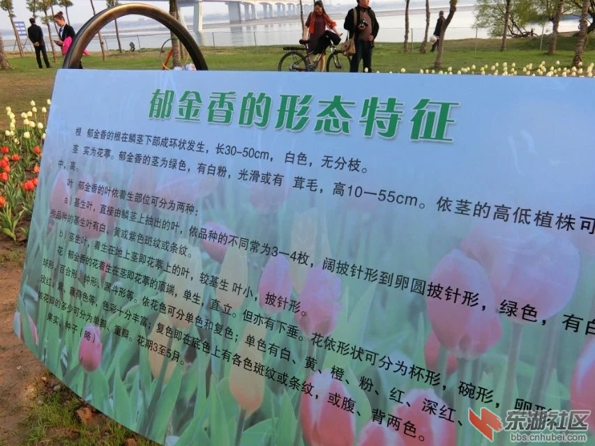 CIMG9955.jpg