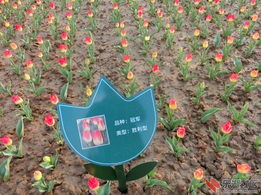 CIMG9957.jpg