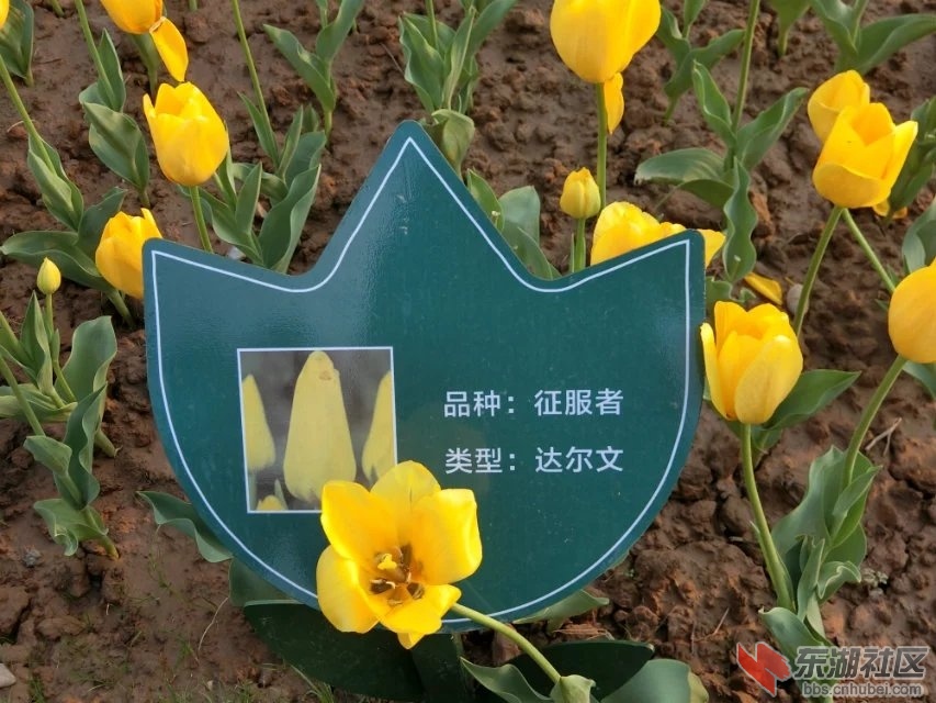 CIMG9960.jpg