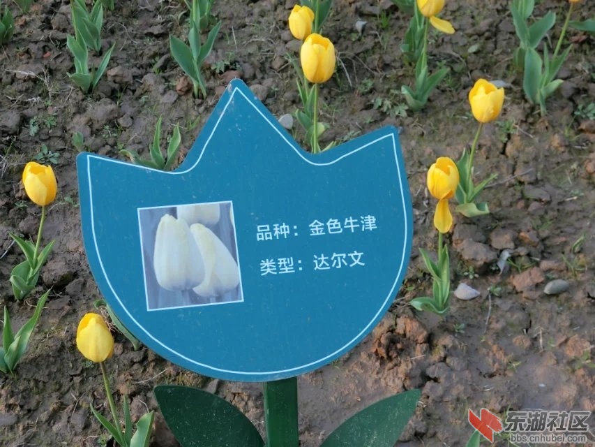 CIMG9964.jpg