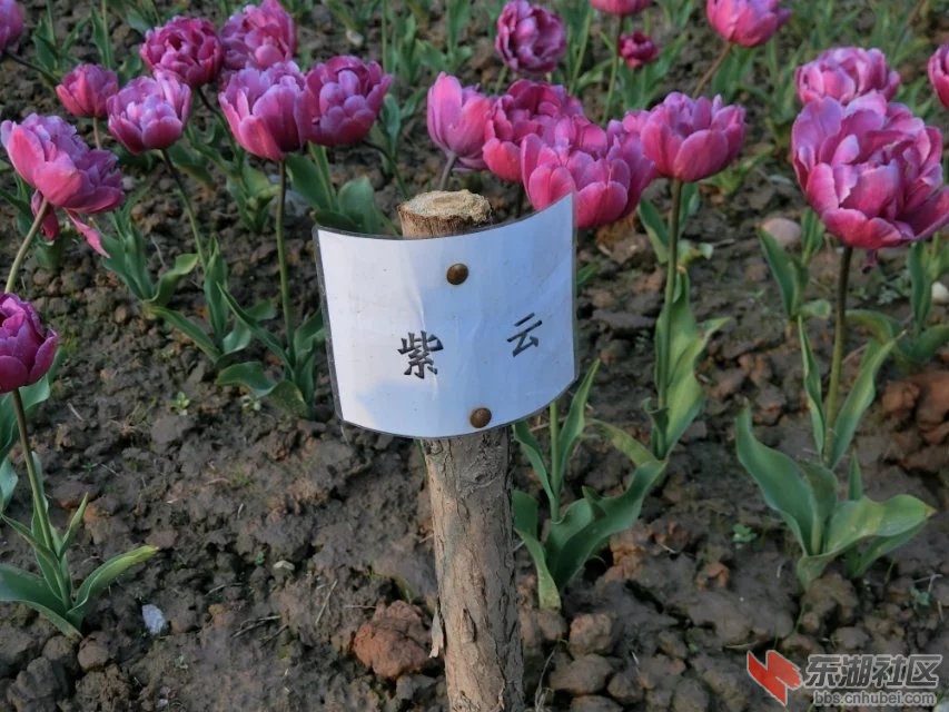 CIMG9970.jpg