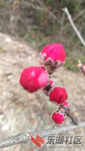 IMG_20170320_123845.jpg