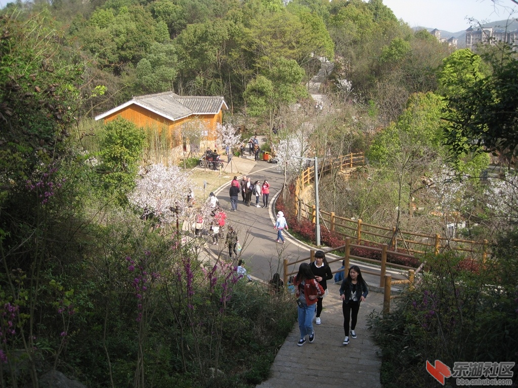 去美國旅遊,最受人歡迎的景點是什麼呢?_齊窩網