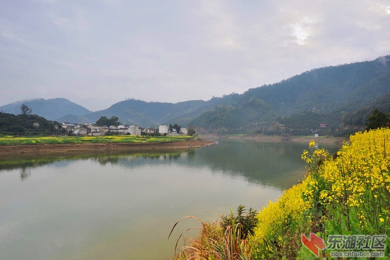 山水画廊18.jpg