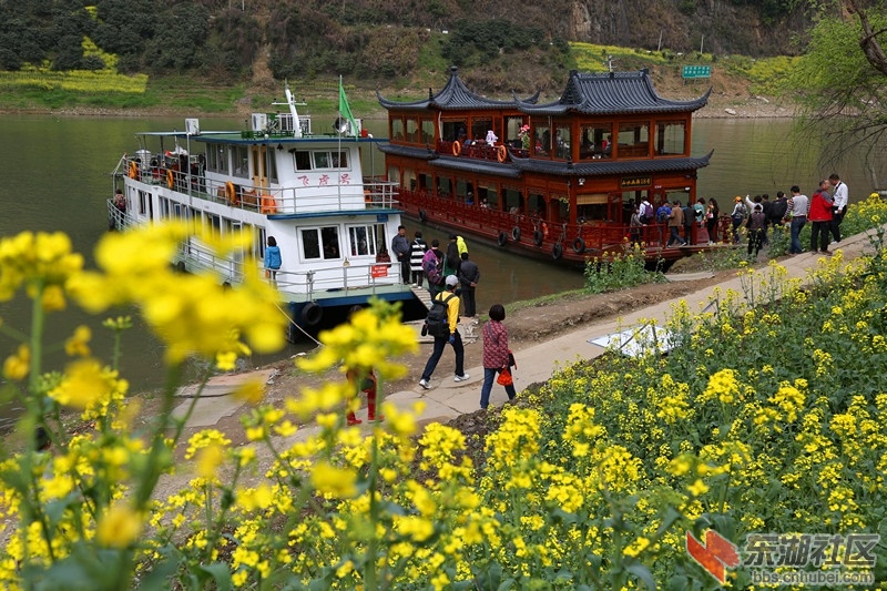 山水画廊26.jpg