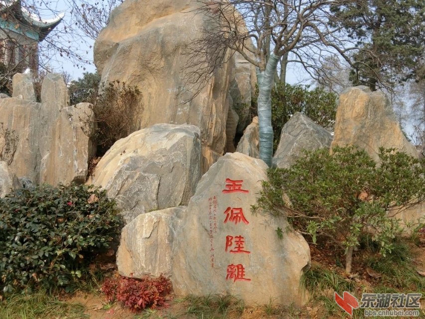 CIMG7305.jpg