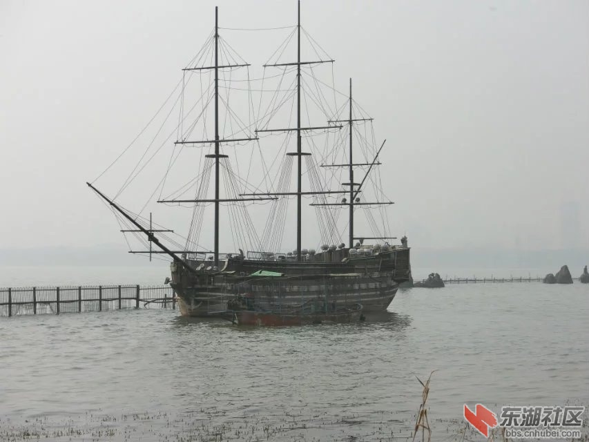 CIMG7309.jpg