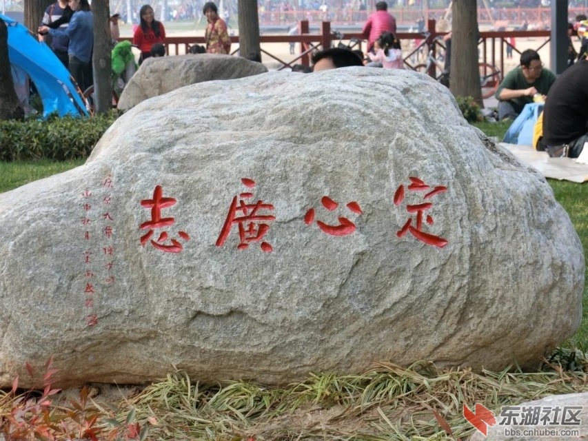 CIMG7319.jpg