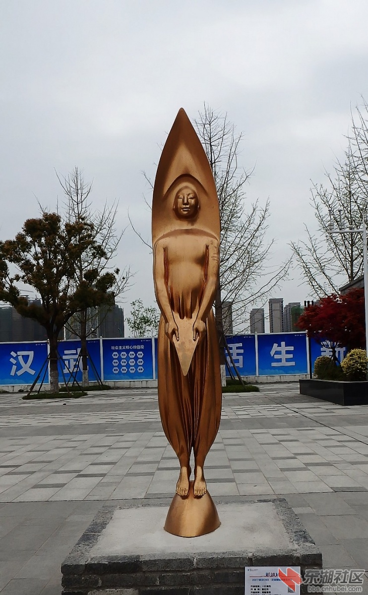 P3281545_conew1.JPG
