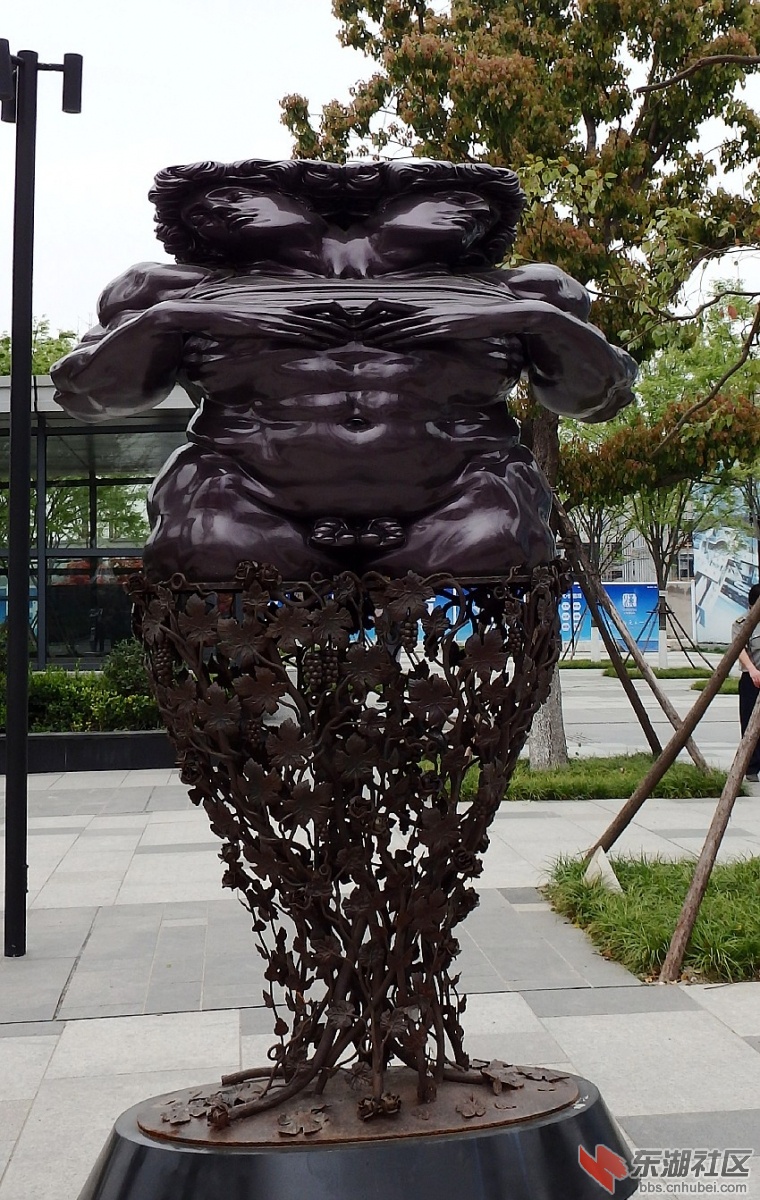 P3281564_conew1.JPG