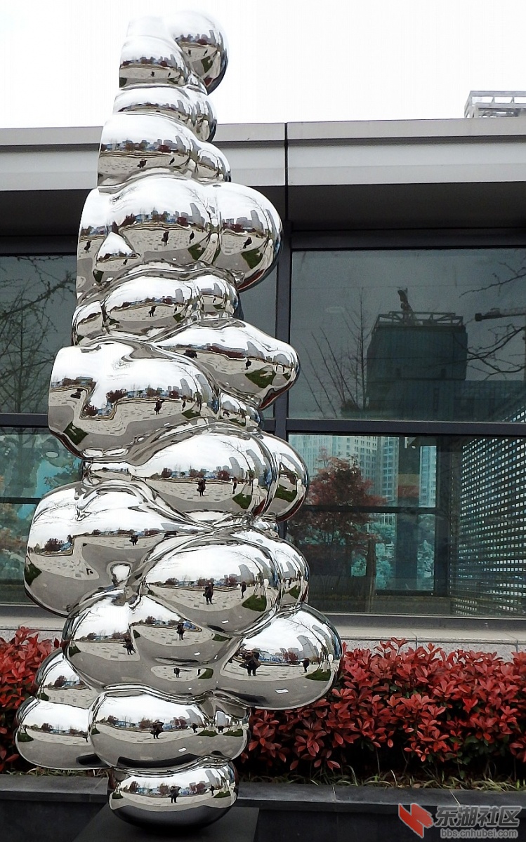 P3281591_conew1.JPG