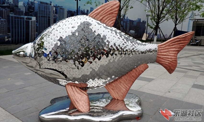 P3281607_conew1.JPG
