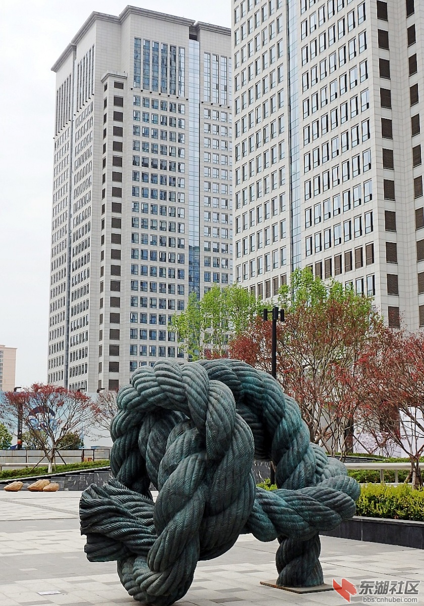 P3281640_conew1.JPG