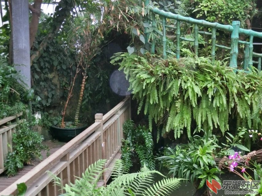 CIMG9290.jpg