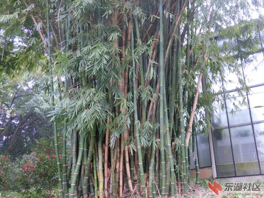 CIMG9317.jpg