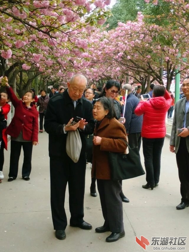 樱花节4.jpg