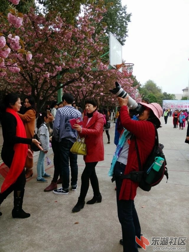樱花节5.jpg