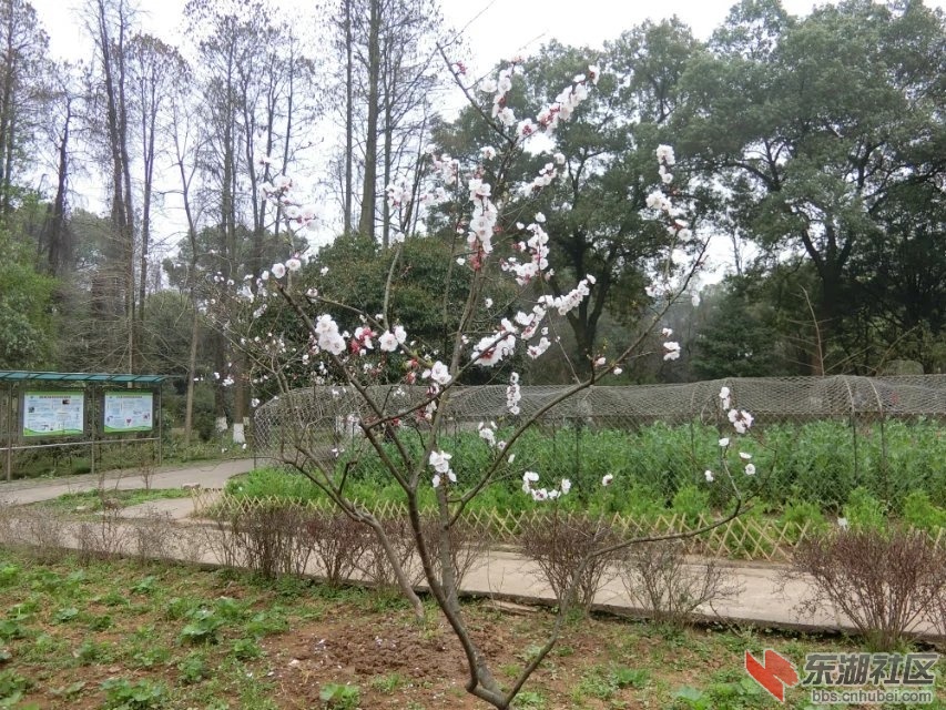 CIMG9384.jpg