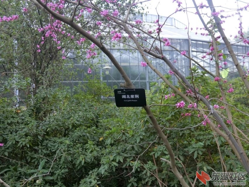 CIMG9421.jpg