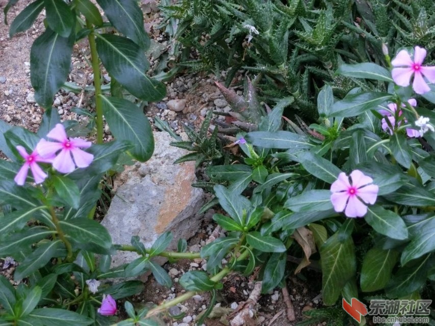 CIMG9447.jpg