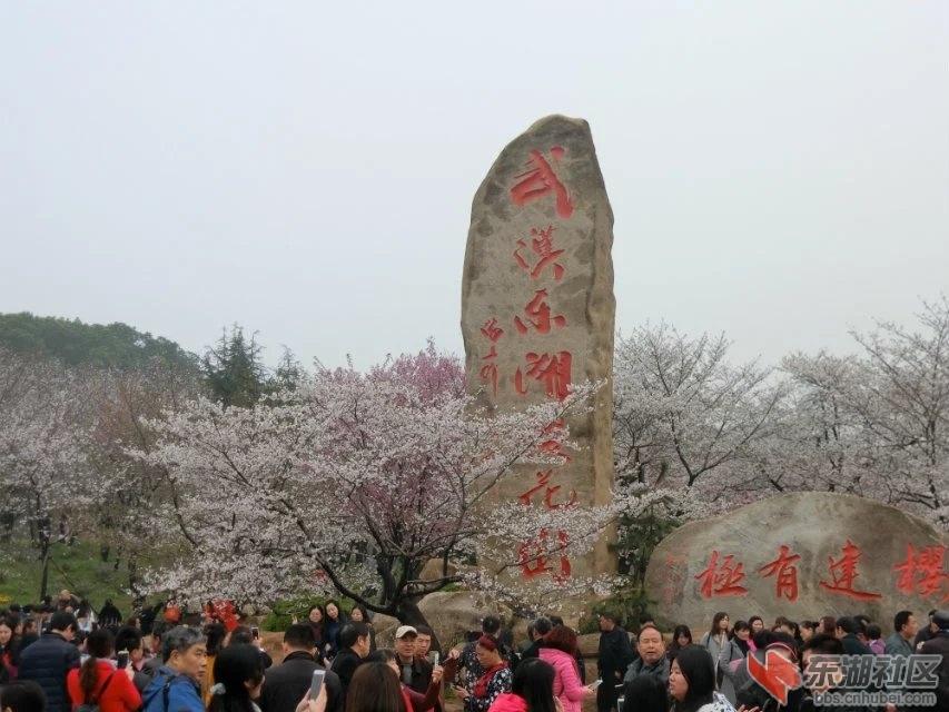 CIMG0083.jpg