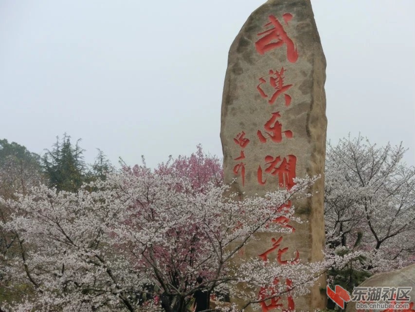 CIMG0085.jpg