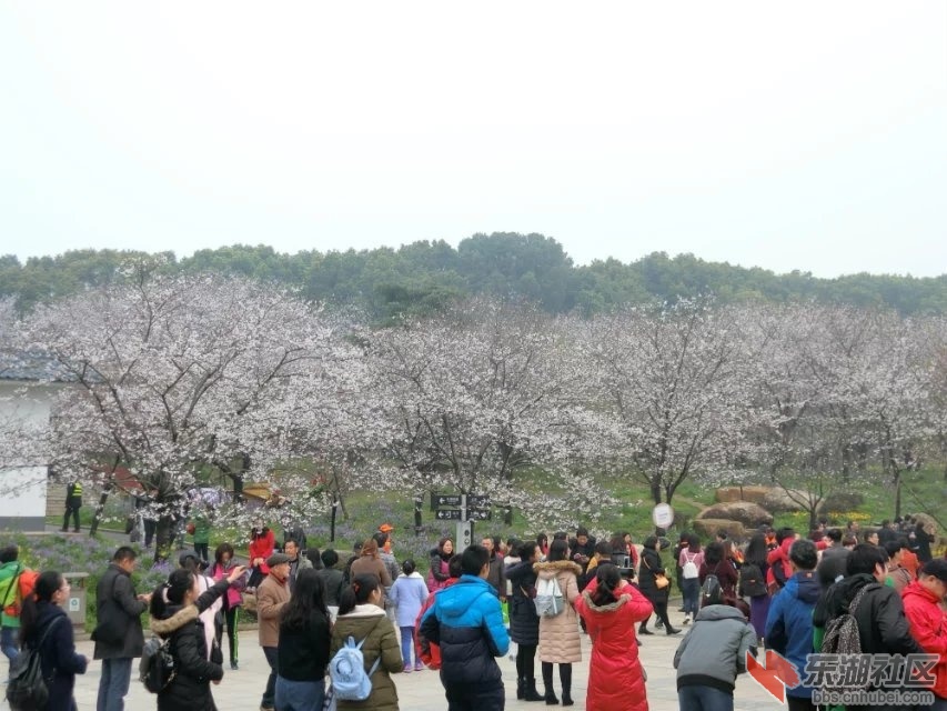 CIMG0091.jpg