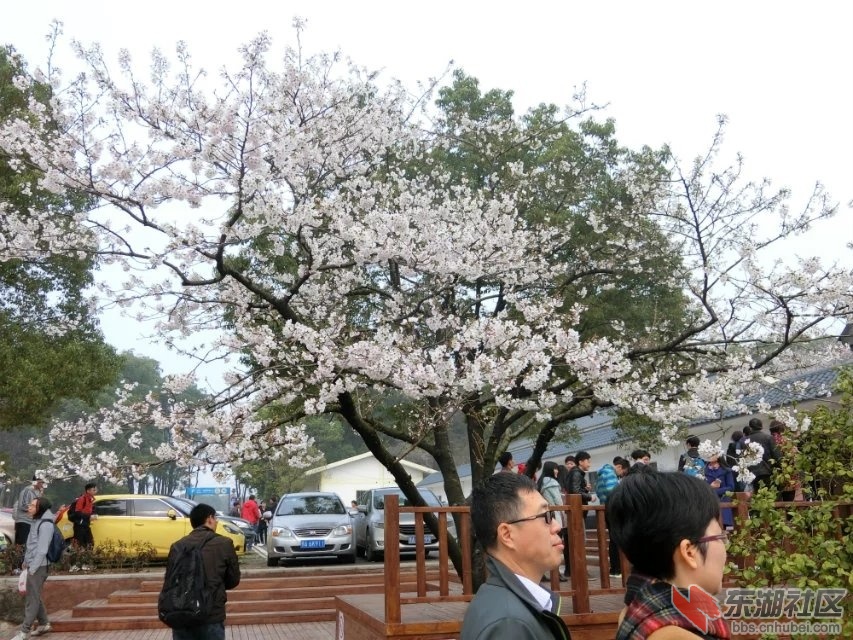 CIMG0099.jpg