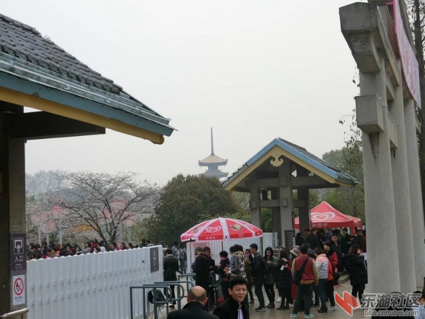 CIMG0103.jpg